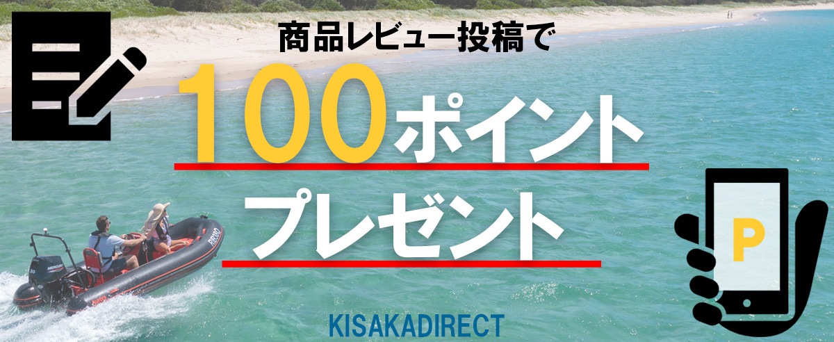 商品レビューを書いて100ポイントプレゼントキャンペーン